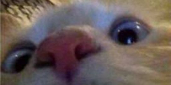 Imagem do grupo de WhatsApp Minezin