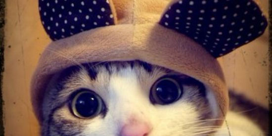 Imagem do grupo de WhatsApp Os malokas