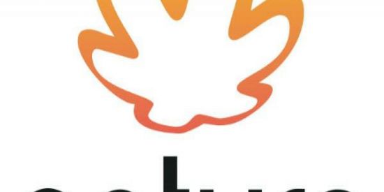 Imagem do grupo de WhatsApp 🌻COMPRAS NATURA🌻