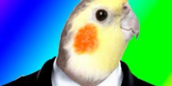 Imagem do grupo de WhatsApp Grupin do zap 14°dia