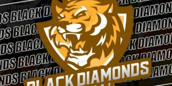 Imagem do grupo de WhatsApp 🌍яєcяυтαмєηтσ •ÐƁ'ร• @oficialdbs__✨