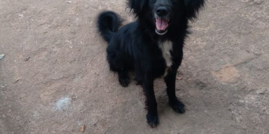 Imagem do grupo de WhatsApp Amizades distantes