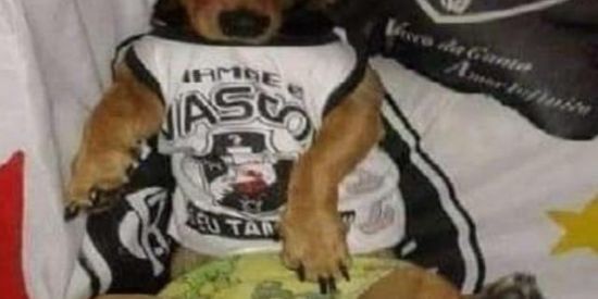 Imagem do grupo de WhatsApp 99% não entram