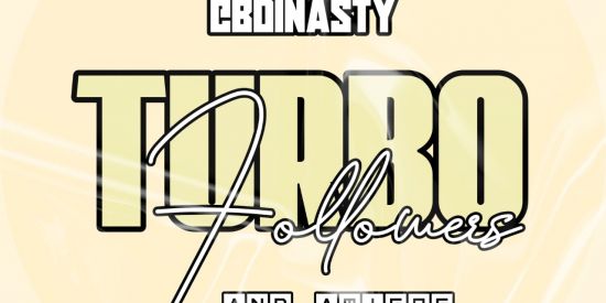 Imagem do grupo de WhatsApp Multirão de seguidores