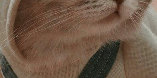 Imagem do grupo de WhatsApp Wep amigos