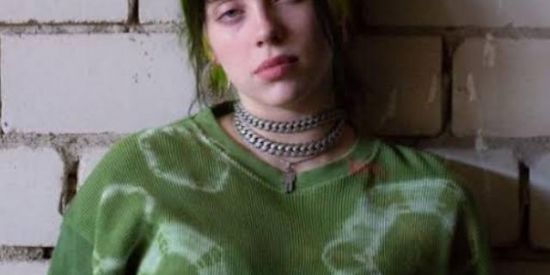 Imagem do grupo de WhatsApp Fãns da Billie Eilish🤍