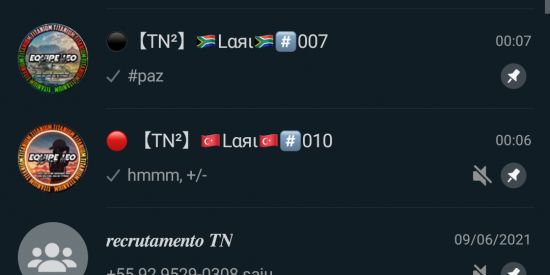 Imagem do grupo de WhatsApp recrutamento TN, Samy