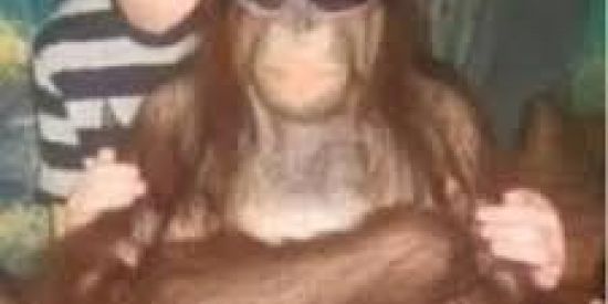 Imagem do grupo de WhatsApp ꜱʜɪᴛᴘᴏꜱᴛᴢɪɴ😡🤝👿