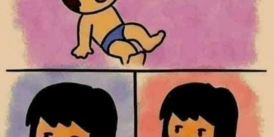 Imagem do grupo de WhatsApp VIDIOs FIGURINHAs & MEMEs