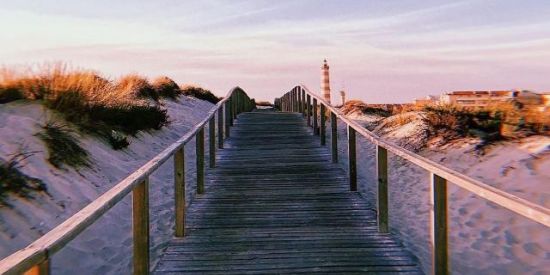 Imagem do grupo de WhatsApp 🦥| Amigos ͡ຈل͜ຈ