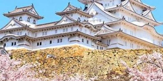 Imagem do grupo de WhatsApp ___TOKYO-1942--japão.....