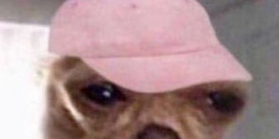 Imagem do grupo de WhatsApp 🌈FIGURINHAS DX AKI⬇️🌞