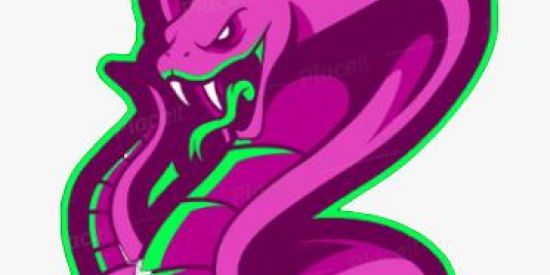 Imagem do grupo de WhatsApp 🐍NAJAS - X-TREINO 🐍