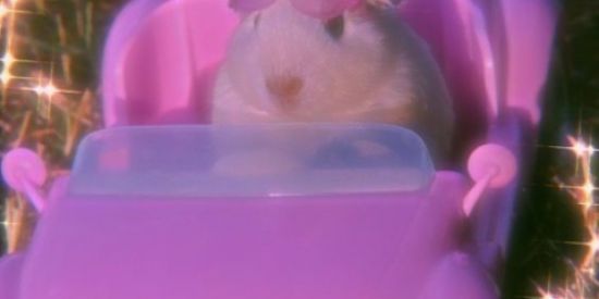 Imagem do grupo de WhatsApp Já Acabou,Jéssica?