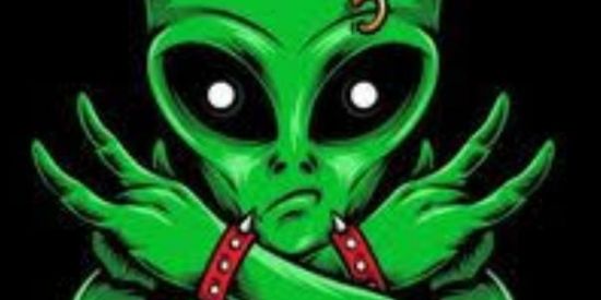 Imagem do grupo de WhatsApp Mansão Sul