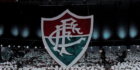 Imagem do grupo de WhatsApp SELEÇÃO DO FLUZÃO 🇭🇺⚽🏆