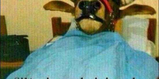 Imagem do grupo de WhatsApp SEI LA SO QUERIA UM PASTE