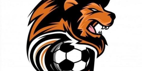 Imagem do grupo de WhatsApp TIPs Right 0️⃣3️⃣☘️🎯