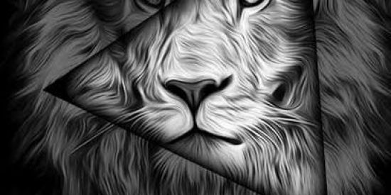 Imagem do grupo de WhatsApp Amigo da Onça 🦁