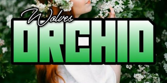 Imagem do grupo de WhatsApp 🎭✨||мυτirασ 20н||✨🎭