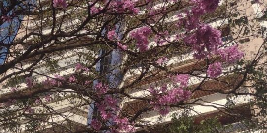 Imagem do grupo de WhatsApp DDD 16❤️😍