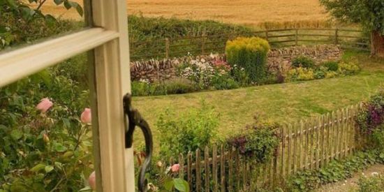 Imagem do grupo de WhatsApp ⋮Sɑᴠᴇ Nɑᴛᴜʀᴇ✨🍁⋮⇢