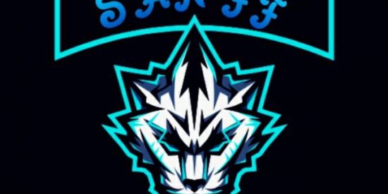 Imagem do grupo de WhatsApp Free fire