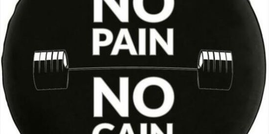 Imagem do grupo de WhatsApp No Pain No Gain