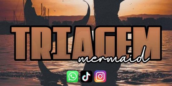 Imagem do grupo de WhatsApp TRIAGEM | MERMAID >> •GKร