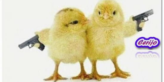 Imagem do grupo de WhatsApp Wingdings