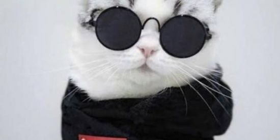 Imagem do grupo de WhatsApp Conversa sem fim