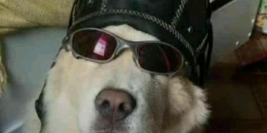 Imagem do grupo de WhatsApp ❥ᴡᴇʙ-ᴀᴍɪɢᴏs➤