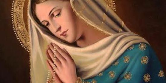 Imagem do grupo de WhatsApp Administradores