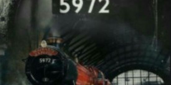 Imagem do grupo de WhatsApp O Expresso Hogwarts