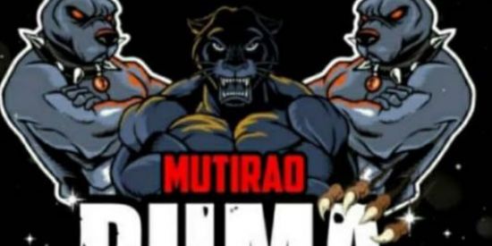 Imagem do grupo de WhatsApp 🐯⃤RECRUTAMENTO PUMA【Ƥɱ'ʂ】