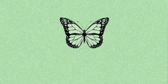 Imagem do grupo de WhatsApp Projeto Influencer 💖