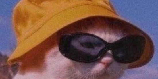 Imagem do grupo de WhatsApp figurinhas oficial シ