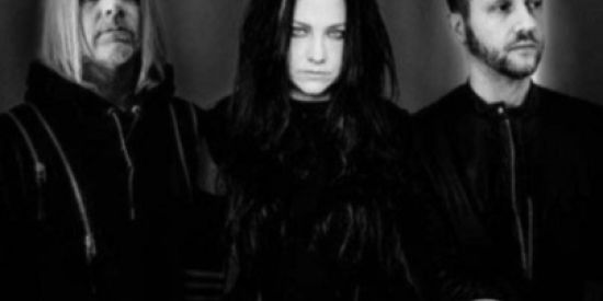 Imagem do grupo de WhatsApp Fãs de Evanescence