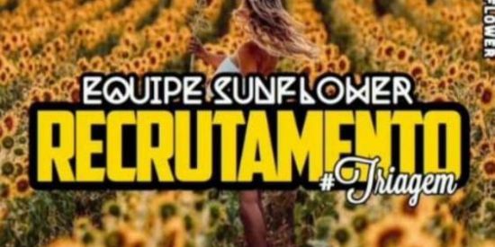 Imagem do grupo de WhatsApp 🌻TRIAGEM EQUPE 4 Ti'ร