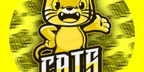 Imagem do grupo de WhatsApp 📌Recrutamento 📌