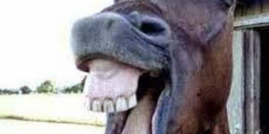 Imagem do grupo de WhatsApp GRUPOS DE BOTS