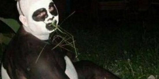 Imagem do grupo de WhatsApp Night's nightmare 🌙