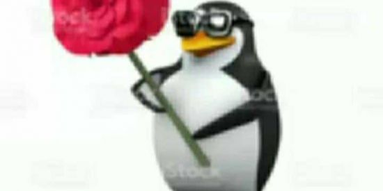 Imagem do grupo de WhatsApp aff sdds da gentte