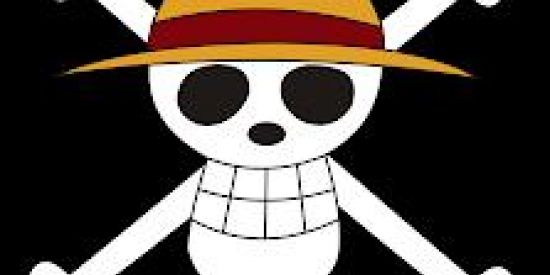 Imagem do grupo de WhatsApp RECRUTAMENTO GOING MERRY