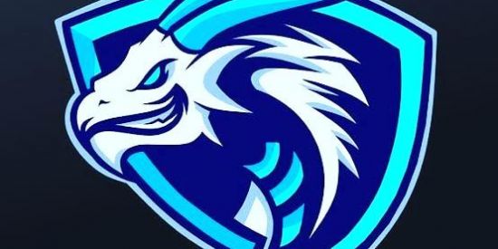 Imagem do grupo de WhatsApp IceDragon