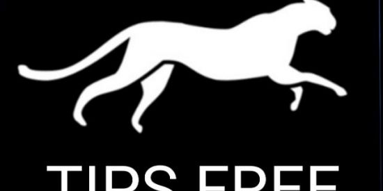 Imagem do grupo de WhatsApp Panthera Tips Free ☘️ 📈