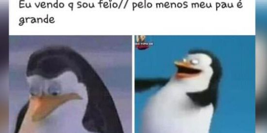 Imagem do grupo de WhatsApp Zueira 24por48