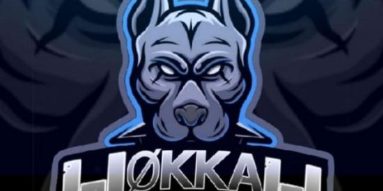 Imagem do grupo de WhatsApp Recrutamento Hokkah ON💎💙🔥