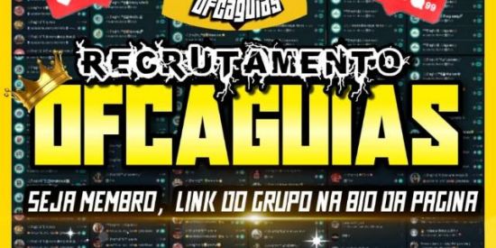 Imagem do grupo de WhatsApp RECEPÇÃO OFC AGUIAS 🦅