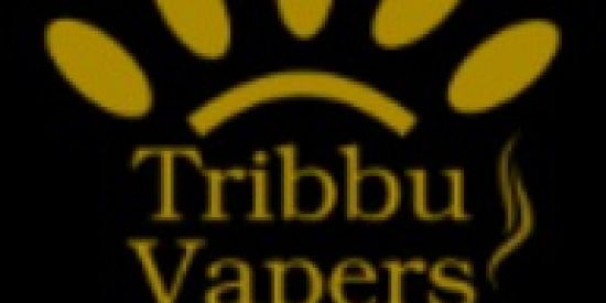 Imagem do grupo de WhatsApp TRIBBUVAPERS